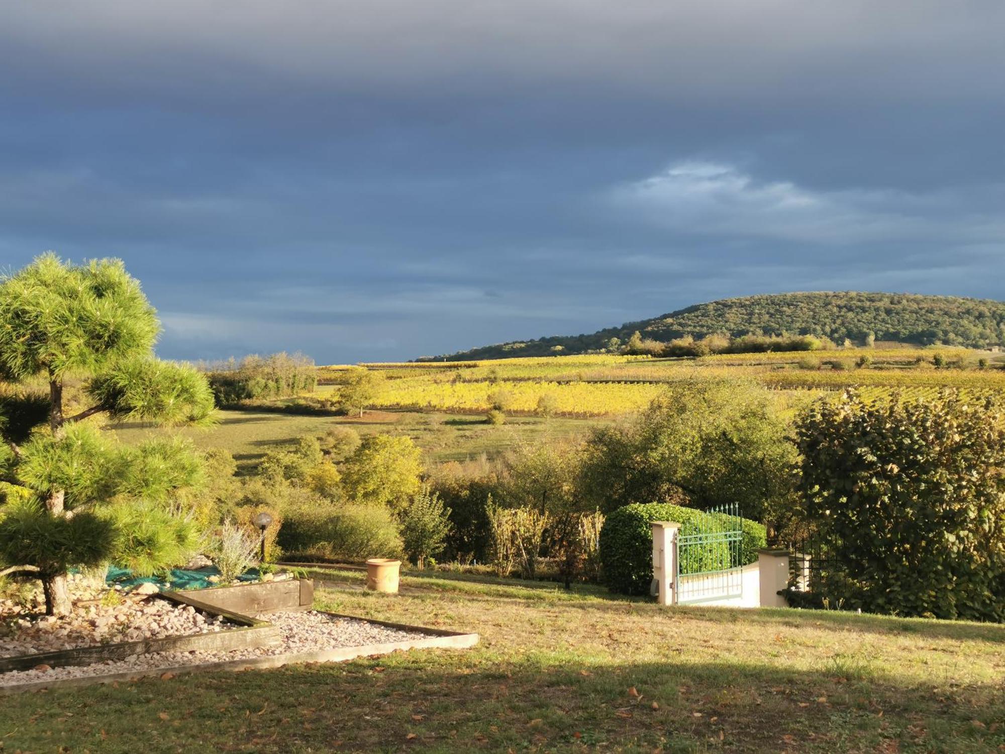 Studio Spacieux, Route Des Vins Rosheim Екстер'єр фото